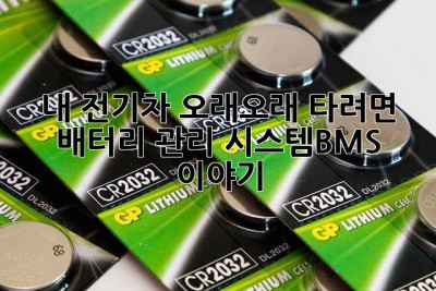 내 전기차, 오래오래 타려면? 배터리 관리 시스템(BMS) 이야기