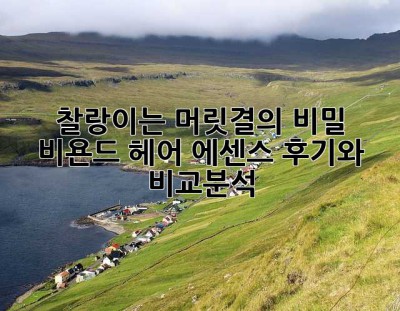 찰랑이는 머릿결의 비밀? 비욘드 헤어 에센스 후기와 비교분석! ✨