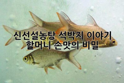 신선설농탕 석박지 이야기: 할머니 손맛의 비밀?