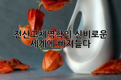 전산고체역학의 신비로운 세계에 빠져들다!
