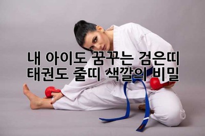 내 아이도 꿈꾸는 검은띠! 태권도 줄띠 색깔의 비밀