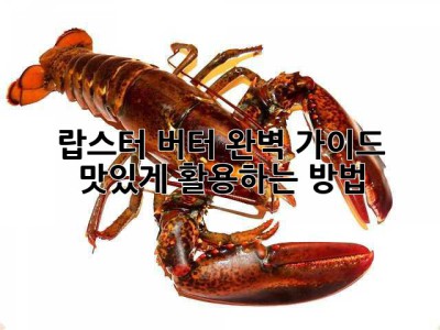 랍스터 버터 완벽 가이드: 맛있게 활용하는 방법!