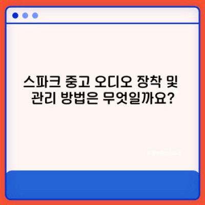 스파크 중고 오디오: 가격, 종류, 장착 및 관리 완벽 가이드
