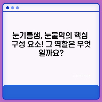 눈기름샘 건강, 눈 건강의 시작! 눈물막과 안구건조증의 비밀을 파헤쳐 보자!