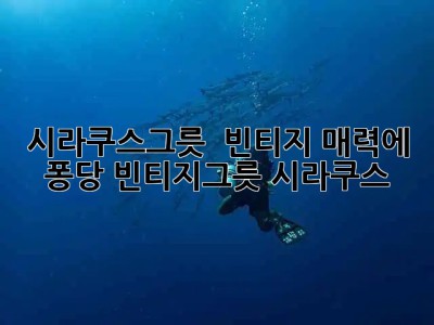 시라쿠스그릇 🥣 빈티지 매력에 퐁당! #빈티지그릇 #시라쿠스