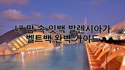 내 맘 속 잇백, 발렌시아가 벨트백 완벽 가이드! ✨