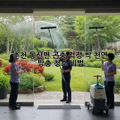 🏡 춘천 동산면 곤충 걱정 싹! 천연 방충 청소 비법 🌿