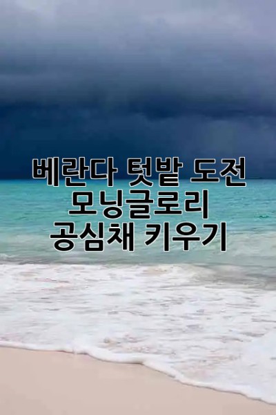 🏡 베란다 텃밭 도전! 모닝글로리 & 공심채 키우기 🌱