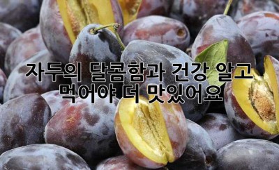 자두의 달콤함과 건강, 알고 먹어야 더 맛있어요!
