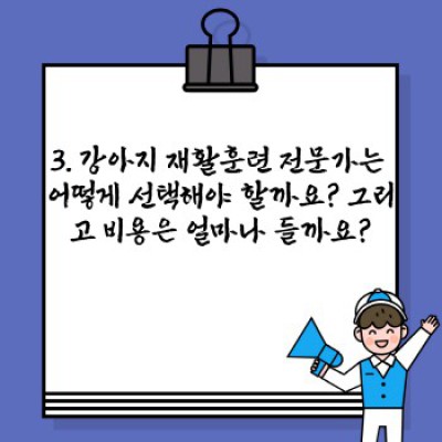 우리 강아지, 재활훈련이 필요할까요? 강아지 재활훈련 A부터 Z까지 완벽 가이드