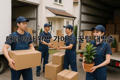 해외 이사 완벽 가이드 ✈️📦 꿀팁 대방출!