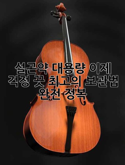 설곤약 대용량, 이제 걱정 끗! 최고의 보관법 완전 정복!