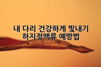 내 다리, 건강하게 빛내기 ✨ 하지정맥류 예방법