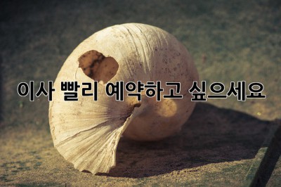 이사, 빨리 예약하고 싶으세요?