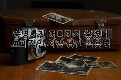 증명사진, 어디까지 쌓였니? 효과적인 저장 공간 활용법!