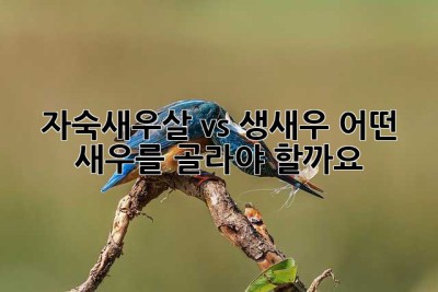자숙새우살 vs 생새우: 어떤 새우를 골라야 할까요? 🤔