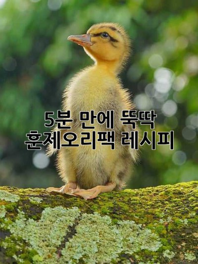 5분 만에 뚝딱! 훈제오리팩 레시피 🍯