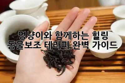 멍냥이와 함께하는 힐링, 동물보조 테라피 완벽 가이드 🐶🐱