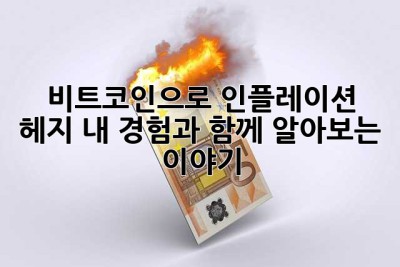비트코인으로 인플레이션 헤지? 내 경험과 함께 알아보는 이야기