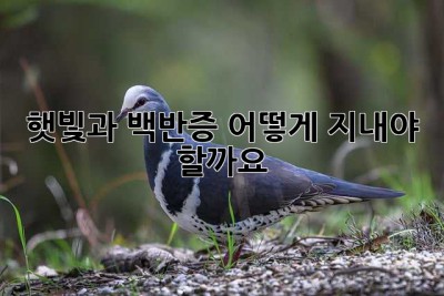 햇빛과 백반증, 어떻게 지내야 할까요? 🥺