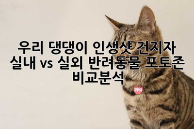 우리 댕댕이, 인생샷 건지자! 실내 vs 실외 반려동물 포토존 비교분석