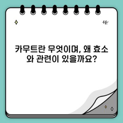 카무트 효소의 모든 것: 건강 효능부터 논란까지 낱낱이 파헤쳐 보자!