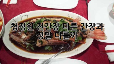 청정원 진간장, 다른 간장과 정말 다를까? 🤔