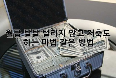 월급 탈탈 털리지 않고, 저축도 하는 마법 같은 방법?! ✨