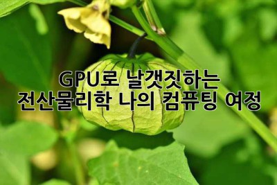 GPU로 날갯짓하는 전산물리학: 나의 컴퓨팅 여정