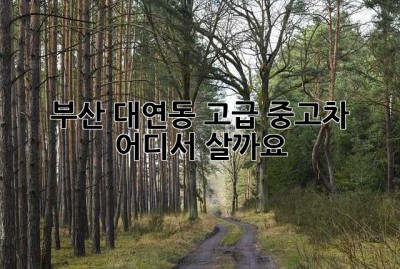 부산 대연동 고급 중고차, 어디서 살까요?