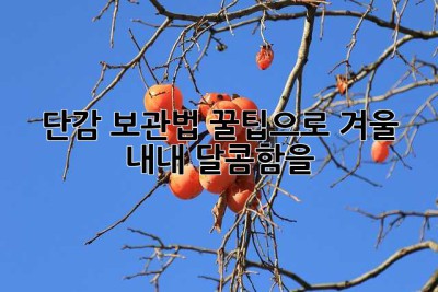 단감 보관법: 꿀팁으로 겨울 내내 달콤함을! ✨