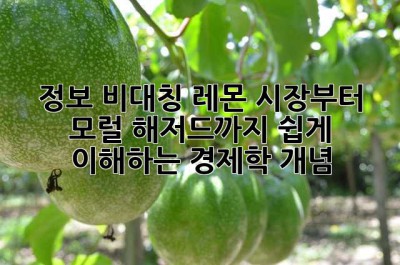 정보 비대칭? 레몬 시장부터 모럴 해저드까지, 쉽게 이해하는 경제학 개념
