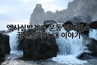엑사심박계로 운동 퍼포먼스 끌어올리기: 내 이야기