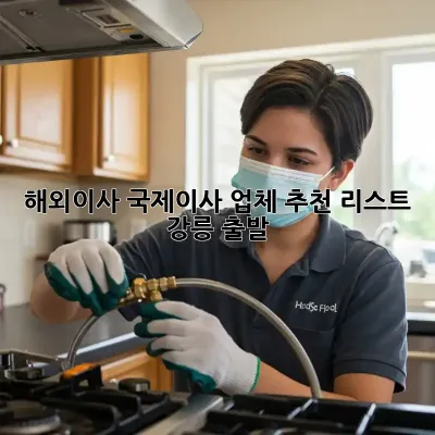 해외이사, 국제이사 업체 추천 리스트: 강릉 출발