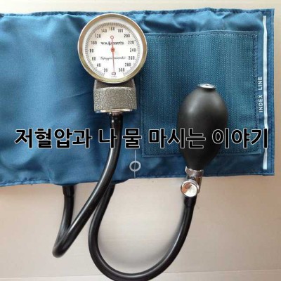 저혈압과 나, 물 마시는 이야기💧