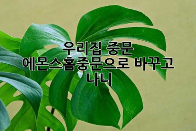 우리집 중문, 에몬스홈중문으로 바꾸고 나니 ✨
