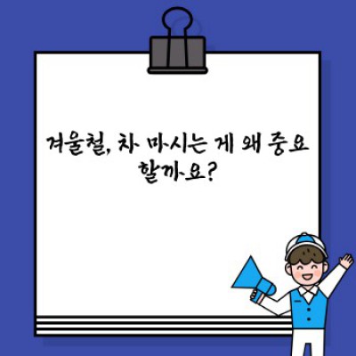 겨울철 건강한 차 마시는 습관: 따뜻한 겨울, 건강하게 보내기 위한 완벽 가이드