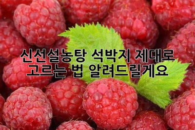 신선설농탕 석박지, 제대로 고르는 법 알려드릴게요!