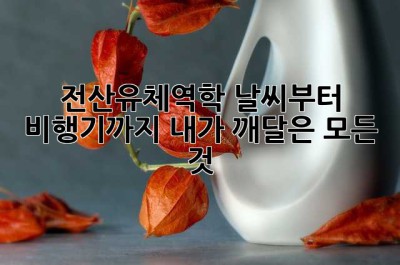 전산유체역학: 날씨부터 비행기까지, 내가 깨달은 모든 것!